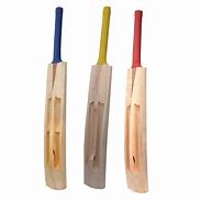 Image result for Cricket Bat Blade
