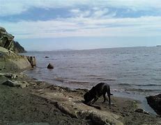 Image result for Bellingham WA Clayton Beach