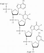 Image result for DNA Meme Chemistry