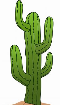 Image result for Mexican Cactus Clip Art Free