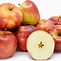 Image result for Dehydrate Apples