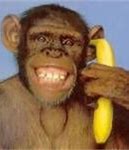 Image result for Monkey Banana Phone