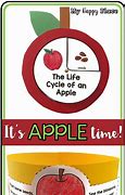 Image result for Pic of a Still Life Apple