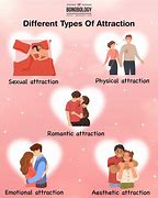 Image result for What Are the Different Types of Attraction