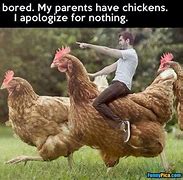 Image result for Chicken Owner Meme