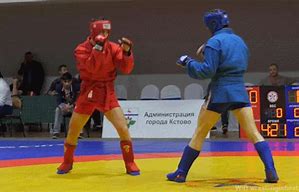 Image result for Sambo Martial Art