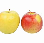 Image result for 2 Apples Clipat
