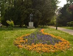 Image result for Cvijeće I Priroda