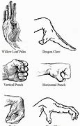 Image result for Kung Fu Animal Fighting Styles