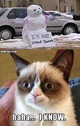 Image result for Grumpy Cat Snow Meme