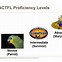 Image result for ACTFL Levels Speaking