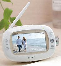 Image result for Sony Portable TV Species