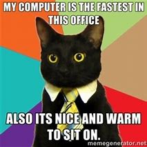 Image result for Business Cat Mem