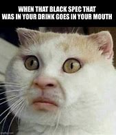 Image result for Distorted Cat Meme