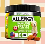 Image result for Over the Counter Dog Allergy Medicine