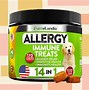 Image result for Dog Allergy Remedies