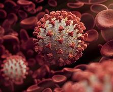 Image result for Covid 19 and Coronavirus