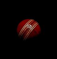 Image result for Cricket Sport Field