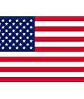 Image result for American Flag Cool Vector