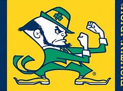 Image result for Notre Dame Football