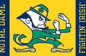 Image result for Notre Dame Fighting Irish Colors