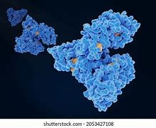 Image result for albuminoixe