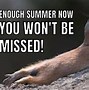 Image result for Weather Too Hot Meme