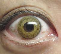 Image result for Eye Contact Lenses with Colors