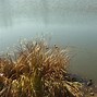 Image result for Grass Valley Lake