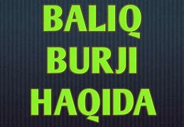 Image result for Baliq Burji