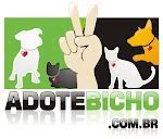 Image result for adotejo