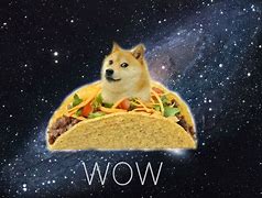 Image result for Taco Dog Meme