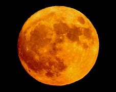 Image result for La Coque Lunar