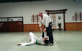 Image result for Aikido Basic Moves