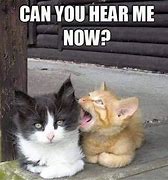 Image result for Can You Hear Me Now Funny