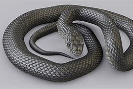 Image result for Animated Black Mamba