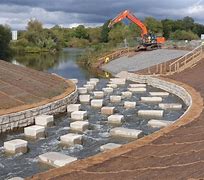 Image result for Fish Pass