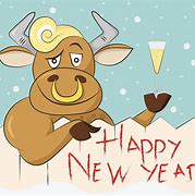 Image result for Funny Happy New Year Wish