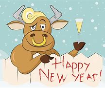 Image result for Funny Images of Happy New Year