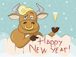Image result for Funny New Year Cartoon Pictures