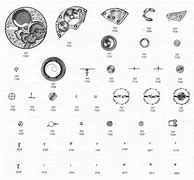 Image result for Omega Watch Parts