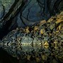 Image result for World's Largest Cave