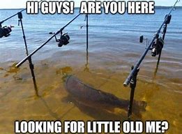 Image result for Fishing Bait Meme