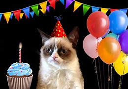 Image result for Happy Birthday Funny Grumpy Cat