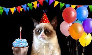 Image result for Happy Bday Grumpy Cat