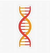 Image result for DNA Meme Sticker
