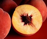 Image result for Red Flesh Peach Varieties List