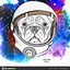 Image result for Dog in Space Funny