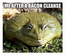 Image result for Gaot 92 Meme Frog