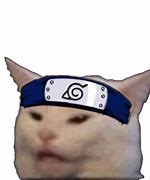 Image result for Naruto Cat Meme
